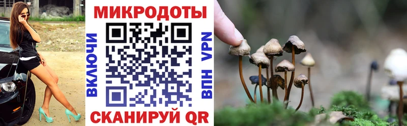 Галлюциногенные грибы прущие грибы  Сосновоборск 