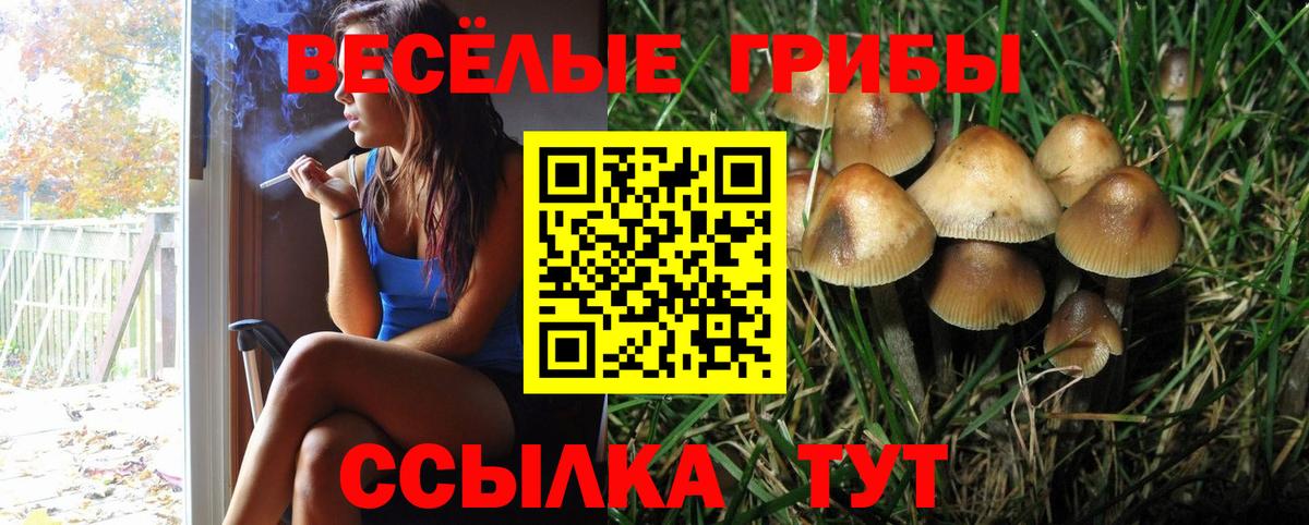 Галлюциногенные грибы Cubensis Сосновоборск